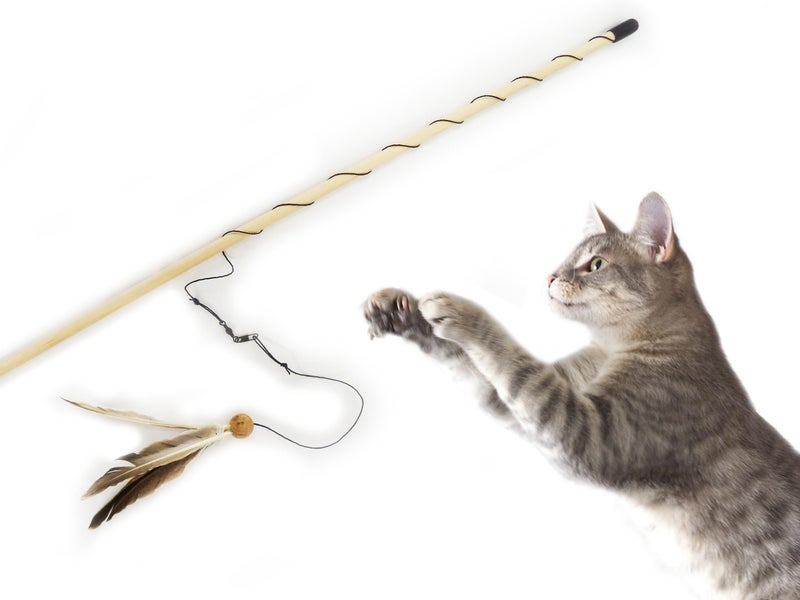 from The Field | Freddy's Feather Wand Interactive Cat Toy | Natural Duck Feather & Cork Ball for Cats | Eco-Friendly, Safe, and USA-Made | Engaging Play for Indoor Cats | Encourages Exercise - Image 2